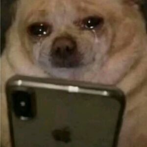 Meet your Posher, Seth